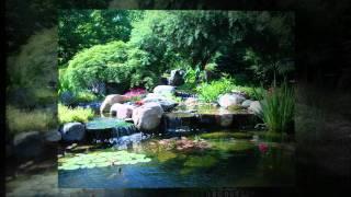 Puts Ponds And Gardens Landscaping: Summer Pond Remodel