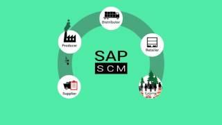 Wiley's SAP SCM- Components of SAP SCM | What is SAP SCM | Supply Chain Management