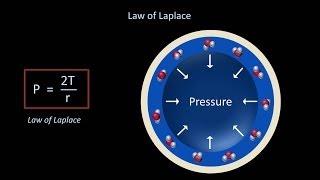 Surface Tension and Surfactant (Fluid Mechanics - Lesson 12)