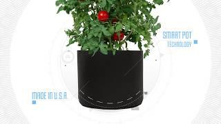 Smart Pot Video Lawn & Garden