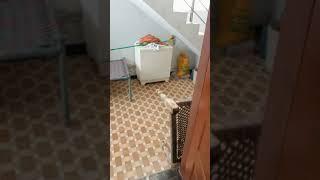 family use 4 marly single story home for  sale _Husnain Property vlogs ko subscribe kry