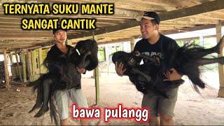 Nekat‼️ BAWA PULANG ANAK SUKU MANTE CANTIK BANGET