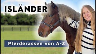 Pferderassen von A-Z | Isländer - Tölt & Pass am Isländerhof 