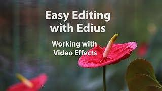Easy Editing with Edius 6 - Lesson 20: Working with Video Effects