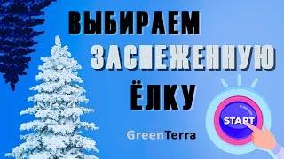 Artificial Christmas trees | Overview of the top 3 snowy Christmas trees from GreenTerra