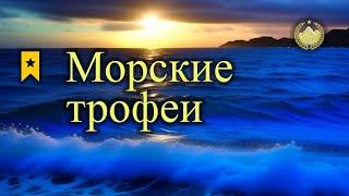  Норвежское море  Морские трофеи  Русская рыбалка 4 