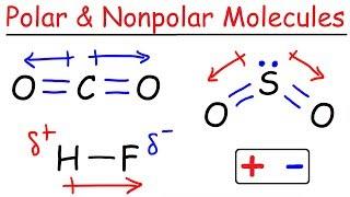 Polar and Nonpolar Molecules