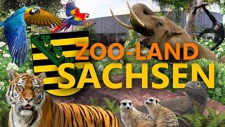 Zoo-Land Sachsen: Viel mehr als bloß Leipzig!