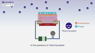 【FIGARO】How do MOS type  gas sensors detect gas?