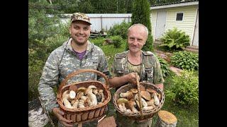 Грибники. Часть 2. Продолжение грибного похода и Кухня. Суп из белых грибов.