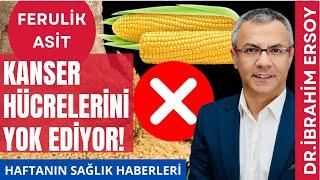 Kolon Kanseri Riskini Azaltan ve Kanser Hücrelerini Öldüren Besinler!