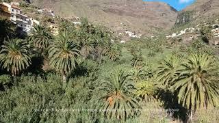 Aerial Stock Footage: Drone footage of Valle Gran Rey on La Gomera island