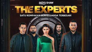 THE EXPERTS FULL MOVIE