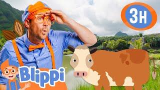 3 Hours of Educational Learning! Blippi Visits Kualoa Ranch & Explores Hawaii | Videos for Kids