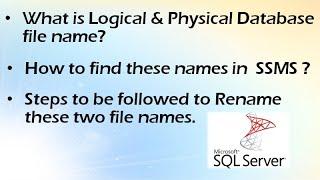 Rename Logical and Physical Database Filename in SQL server || Ms SQL