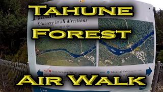 Tahune Forest Air Walk | Explore Tasmania