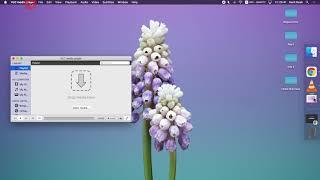 VLC Setup for ZOOM IN MAC
