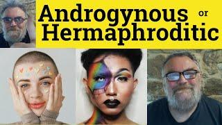 Androgynous vs Hermaphroditic Meaning Hermaphrodite or Androgyne Defined Hermaphroditic Androgynous