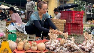 Go to the market to sell garlic and sticky pumpkins, harvest beans for seeds