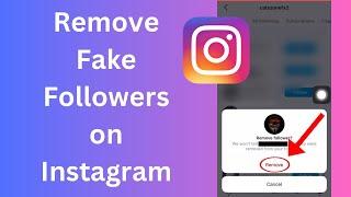 How to Remove Fake Followers from your instagram account