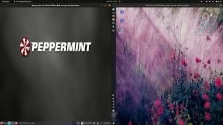 Peppermint OS 22 (xfce) vs Mx Linux 21 (xfce)