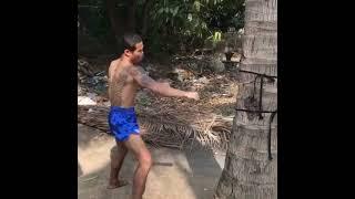 Muay Thai Shin Conditioning with Palm Tree 