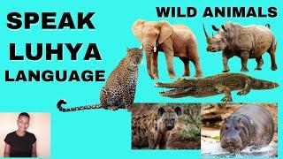 WILD ANIMALS IN THE LUHYA LANGAUGE OF KENYA #learnluhyalanguageandculture #luhya #kenyantribes