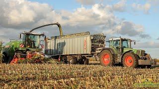 Fendt Katana 65 | loonbedrijf Hoorn Peest | maisoogst 2022 | Fendt Favorit 926 | FENDTharvest