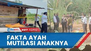 Fakta Terbaru Perbuatan Keji Seorang Ayah Mutilasi Anak Kandung, Korban Sempat Pinjam Jilbab Teman