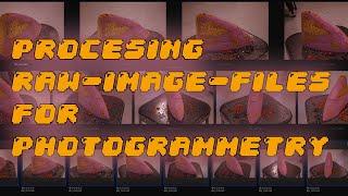 Processing Raw Image Files for Photogrammetry