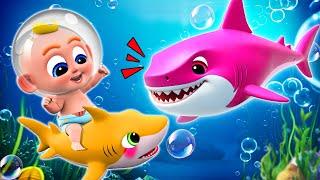 Baby Shark Doo Doo Doo  | Baby Shark Dance | More Nursery Rhymes & Kids Song