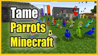 How to Tame a Parrot in Minecraft (Best Tutorial)