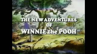 The New Adventures of Winnie the Pooh Volume 2 The Wishing Bear VHS Intervals