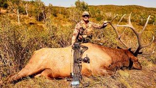 EPIC Archery Elk Hunt!!!!