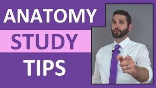 Anatomy Study Tips: How to Pass Anatomy and Physiology Class