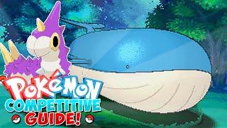 Pokemon Competitive Guide - Wailord! (How to use Wailord in ORAS!)