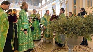 Всенощное бдение накануне Вербного воскресенья в Свято-Духовском соборе Херсона (2020)