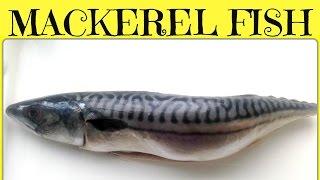 How to Cook Mackerel | Boiled Mackerel