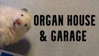 Organ House & Garage Mix by Opi