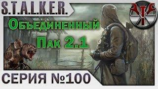 S.T.A.L.K.E.R. - ОП 2.1 ч.100 Юбилейный стрим! Пиво, Тихая охота и ловля котов на Агропроме!