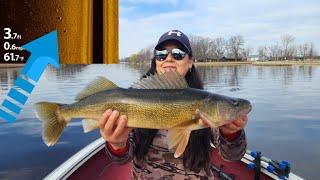 Crushing WALLEYES on the Oconto River!