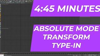 Absolute Mode Transform Type-in