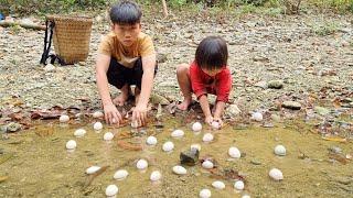 Harvest duck eggs to sell and buy food - boy orphaned parents