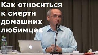 Торсунов О.Г.  Как относиться к cмерти домашних любимцев