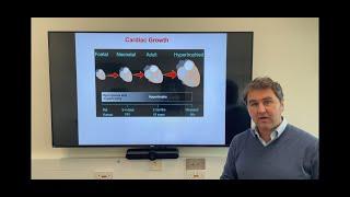 Cardiac Growth - Tutorial