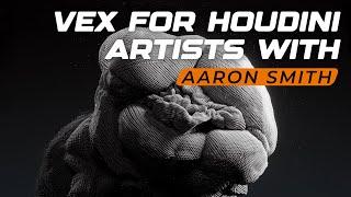 Vex For Houdini Artists | Course Overview