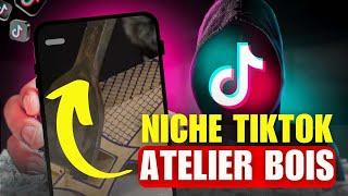 1147€/Mois Avec Cette Niche TikTok Monétisation