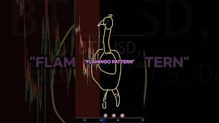 $22,000 Profit with Flamingo PatternCheck out the linked video #trading #tradingstrategy