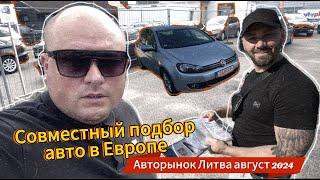 Совместный подбор авто в Европе. Авторынок Литва август 2024