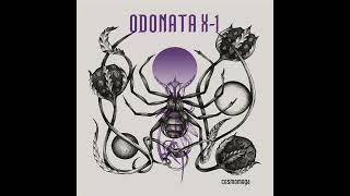 4   Odosphere   ODONATA X 1